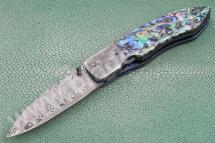 ABALONE folder